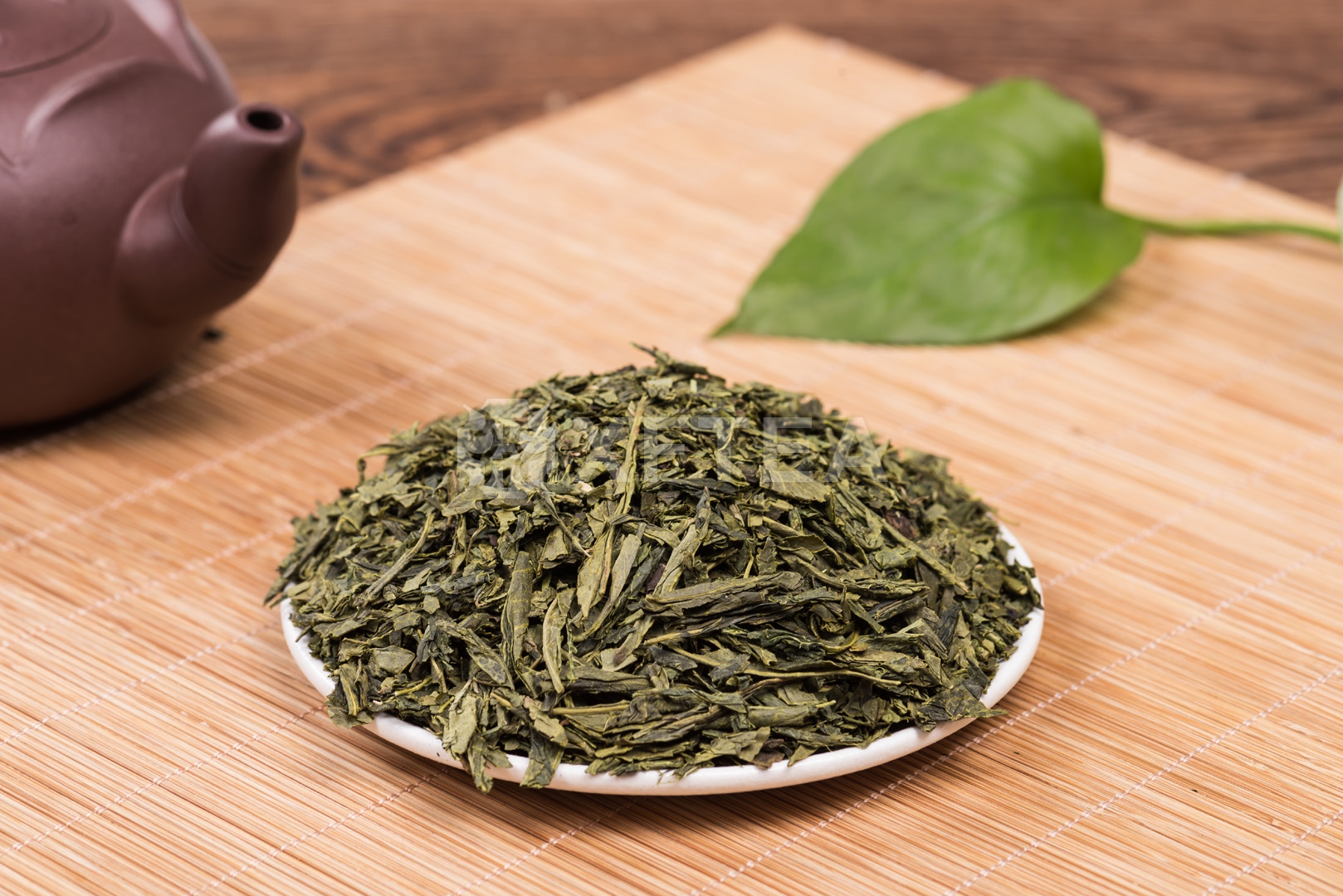 Sencha 8913