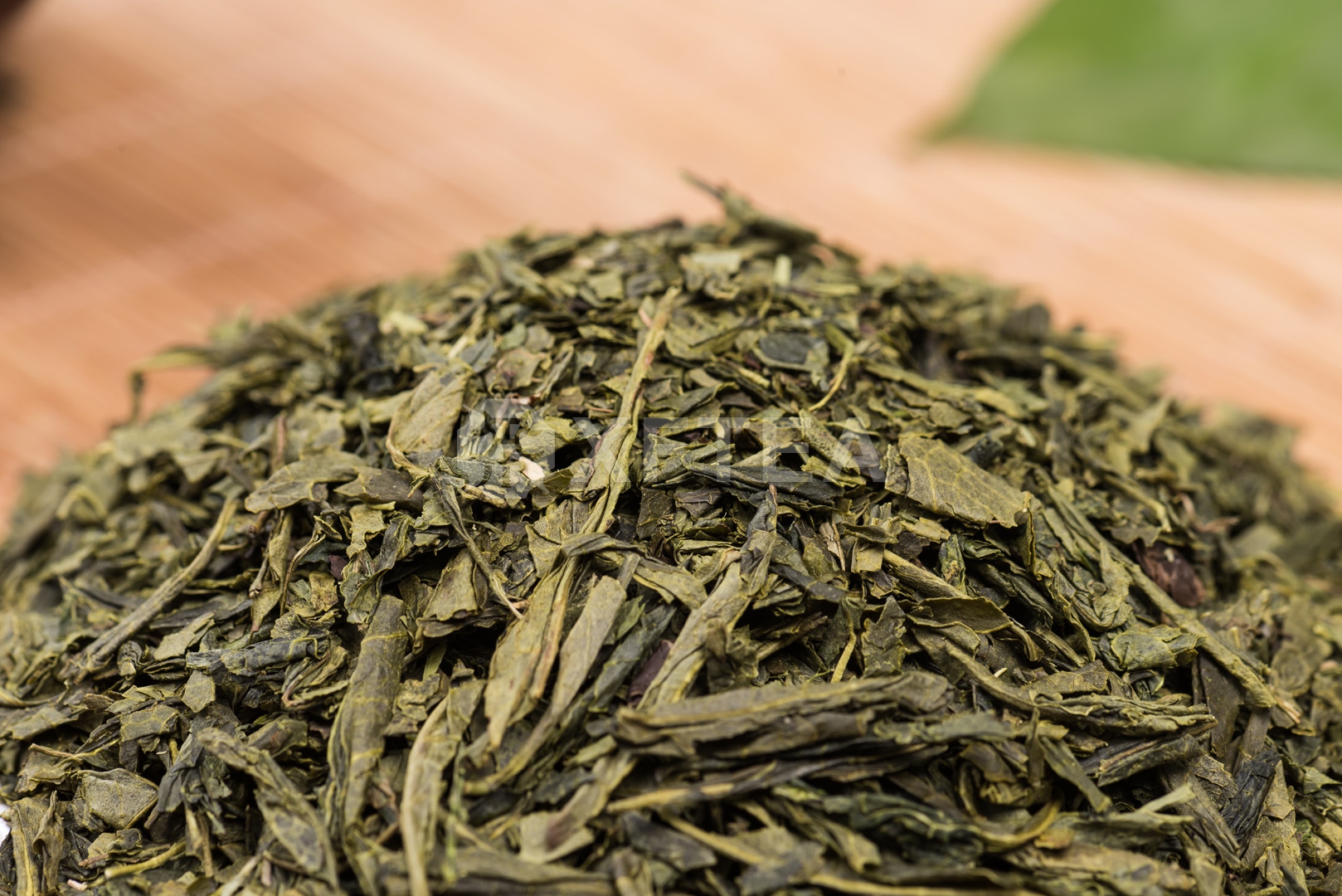 Sencha 8913