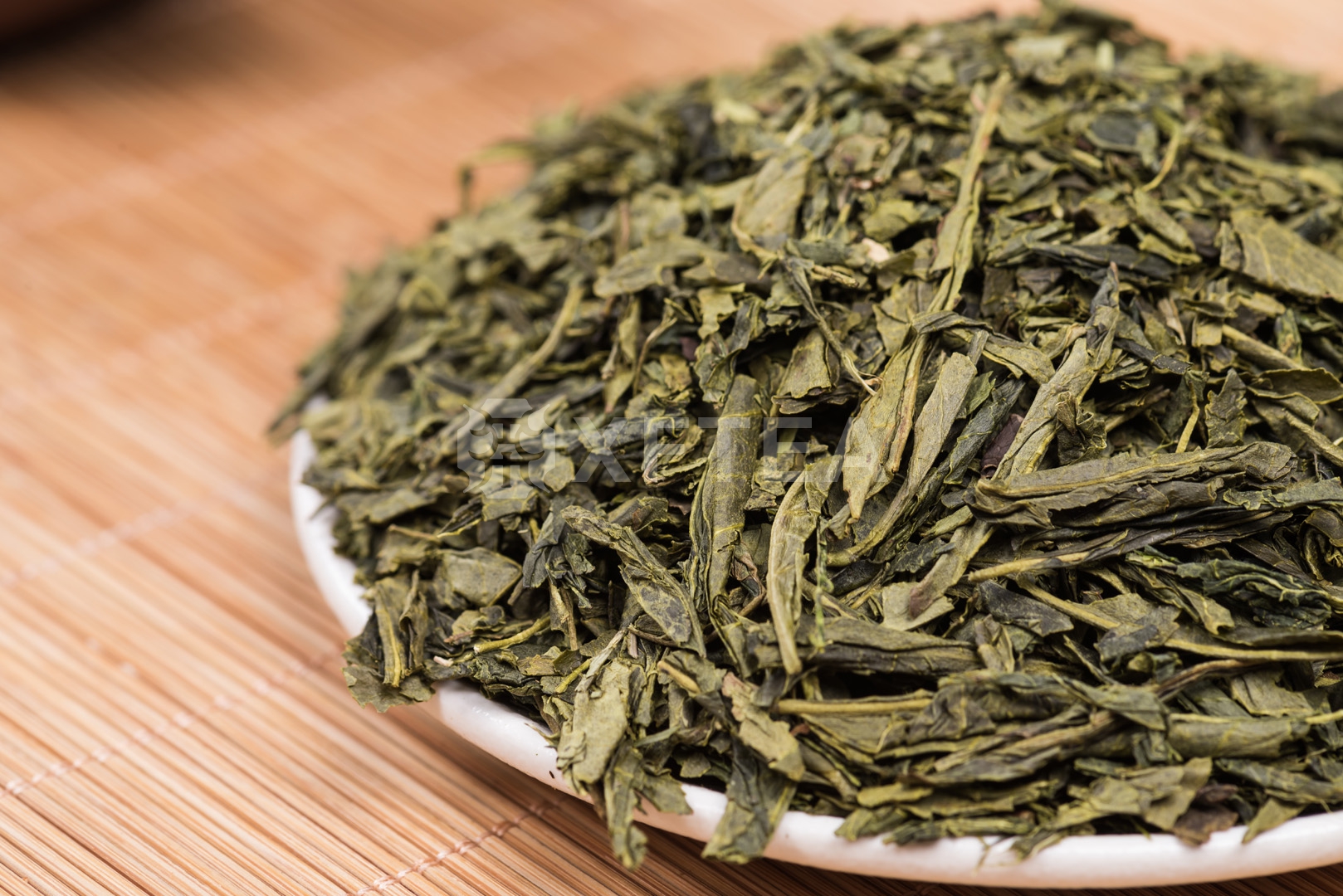 Sencha 8913