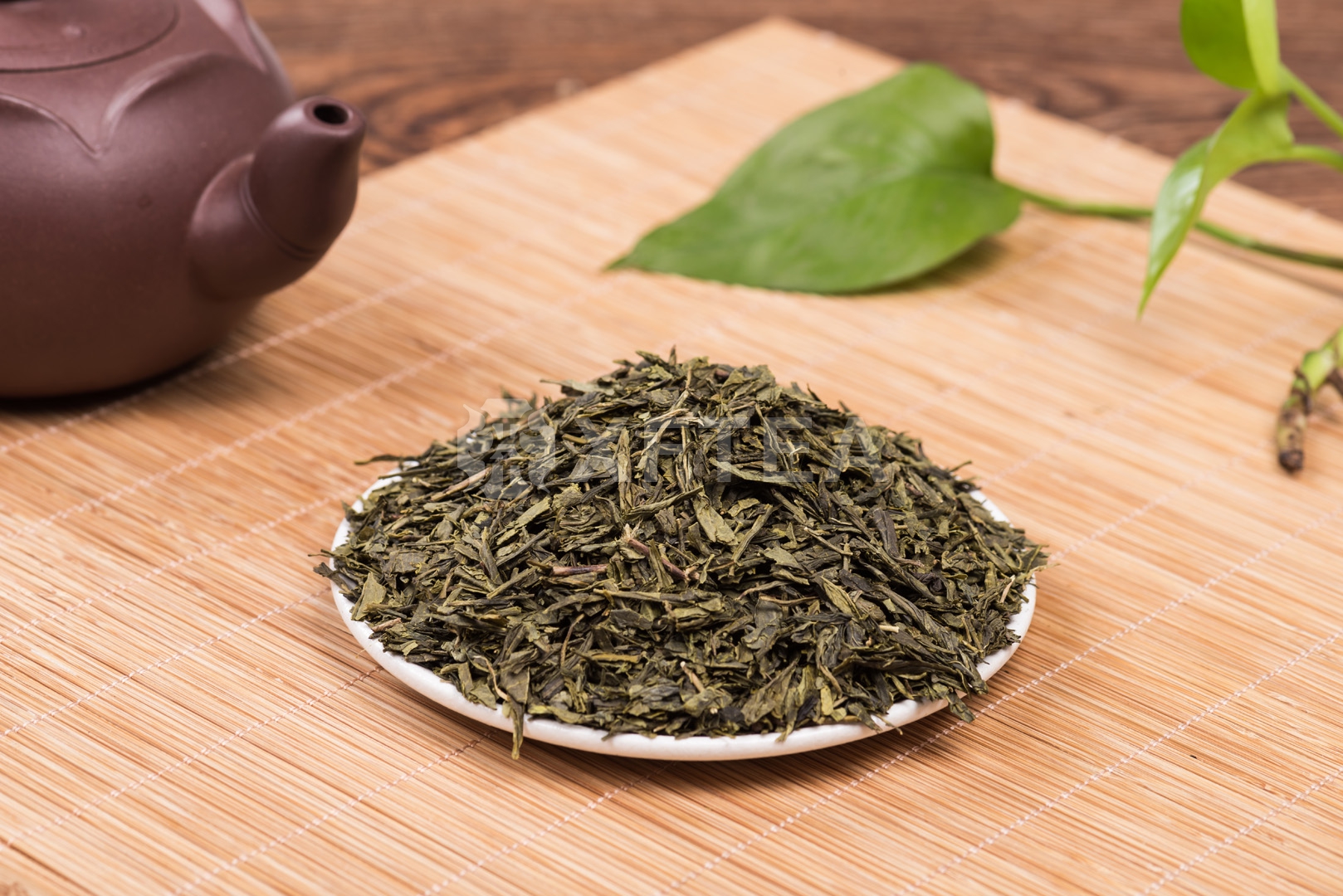 Sencha 8913B